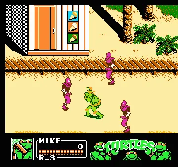 Teenage Mutant Ninja Turtles III - The Manhattan Project (USA) (The Cowabunga Collection) (Aftermarket) screen shot game playing